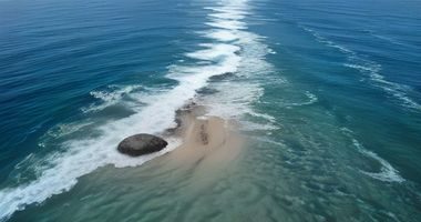 手机浏览器地址栏输入我去叉叉入口地址，界面简洁清晰，移动端适配良好